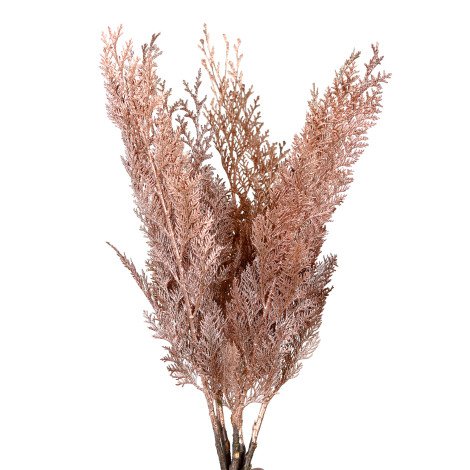 Conifer Tinted Rose Gold