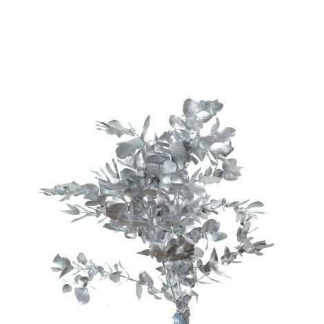 Eucalyptus Tinted Silver