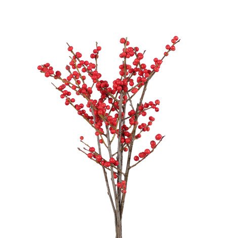 Ilex Red