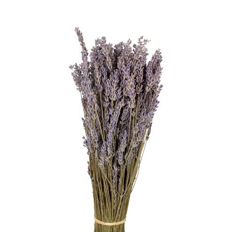 Lavender Dried