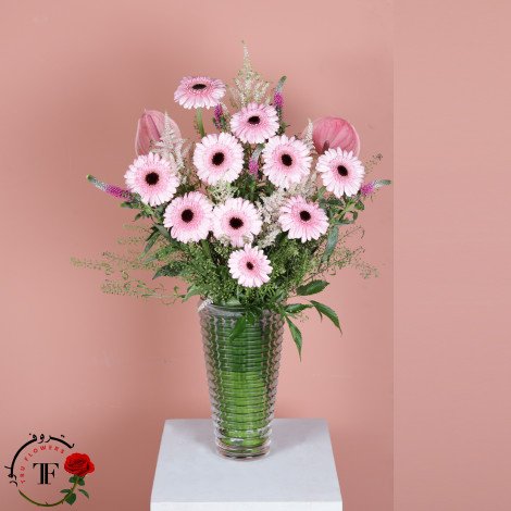 GERBERA PINK